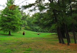 Alexandria Fort Ward Park