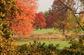 GW Parkway Area Alexandria in the Fall