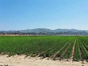 City of Moorpark, California