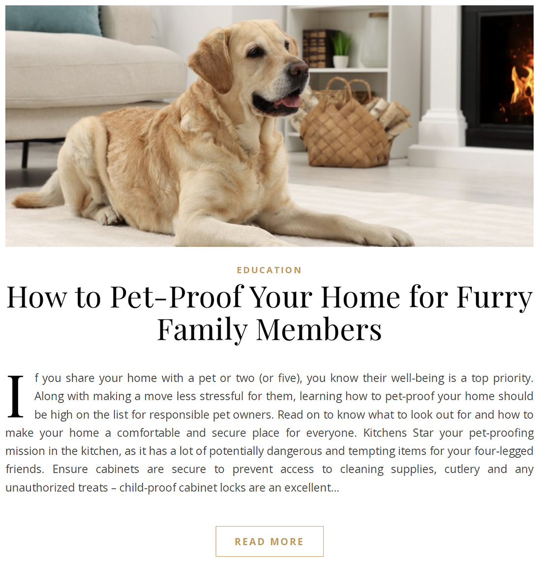 How to Pet-Proof Your Home