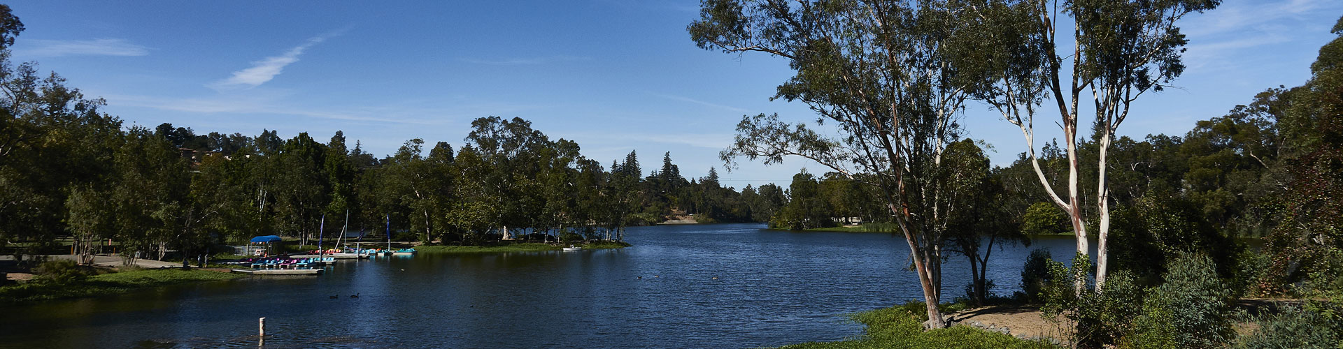 Rebecca Smith Sereno Group Los Gatos Real Estate Los Gatos Mountain Specialist Horse Properties Homes Land Also Serving Saratoga Campbell Cambrian Willow Glen