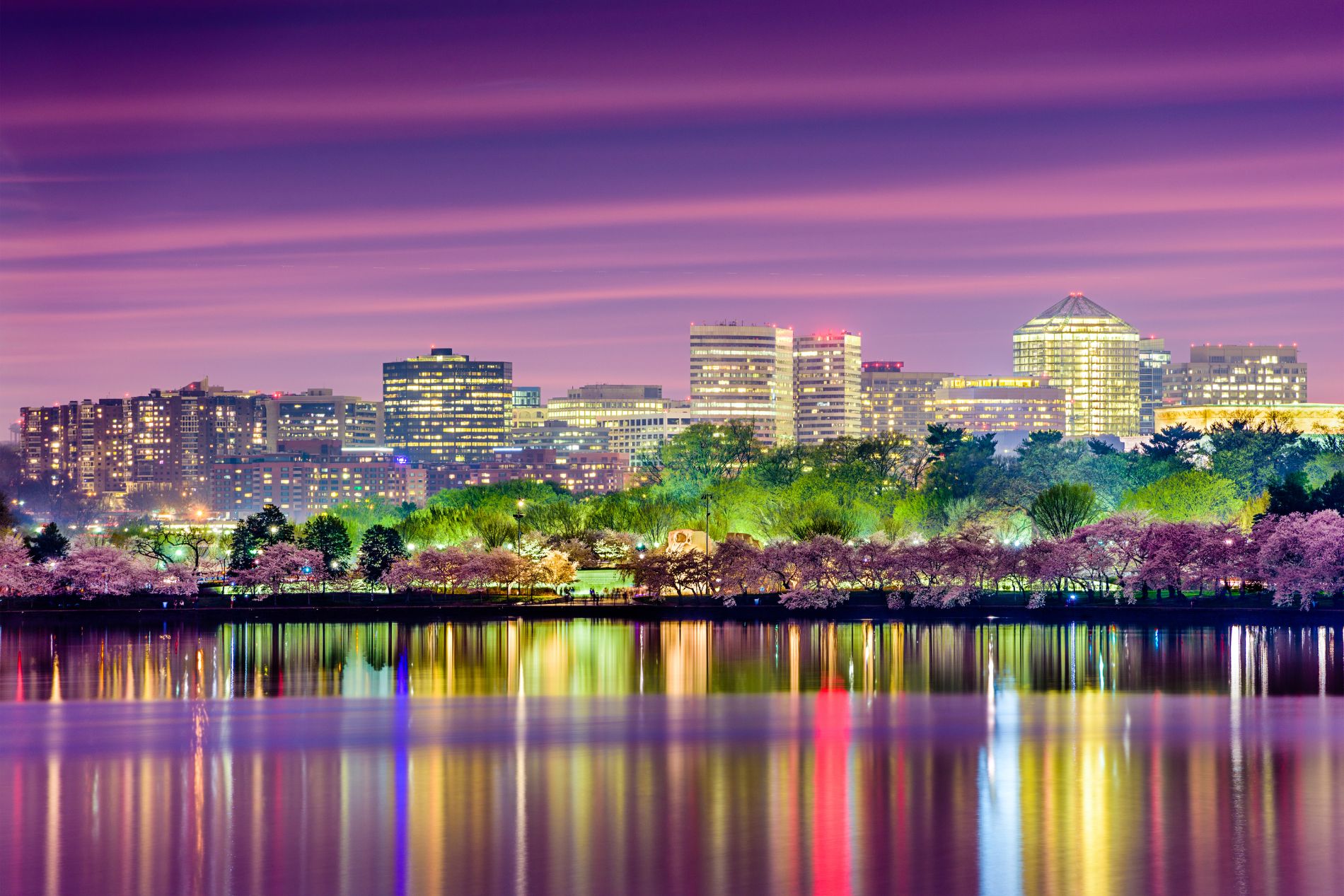 Banner picture