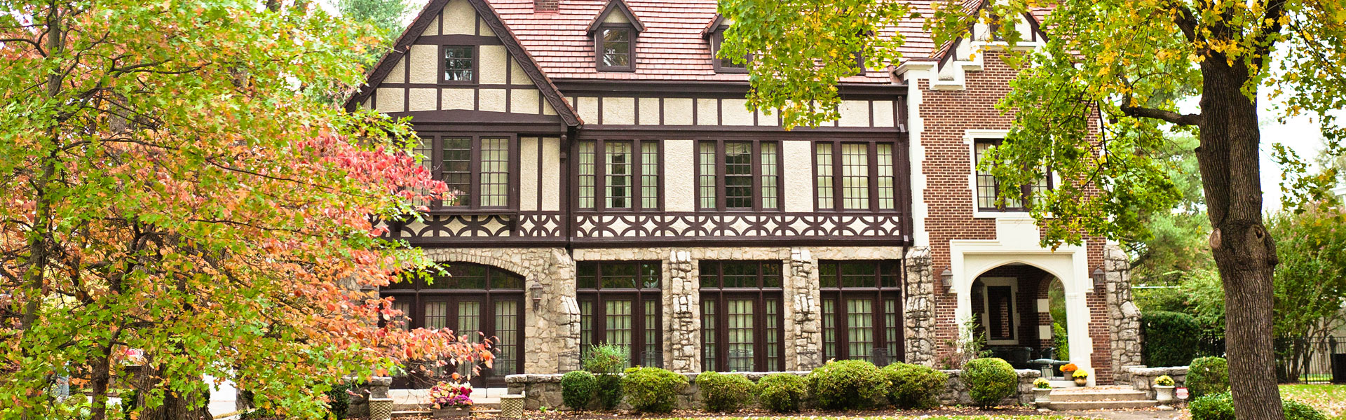 Banner picture