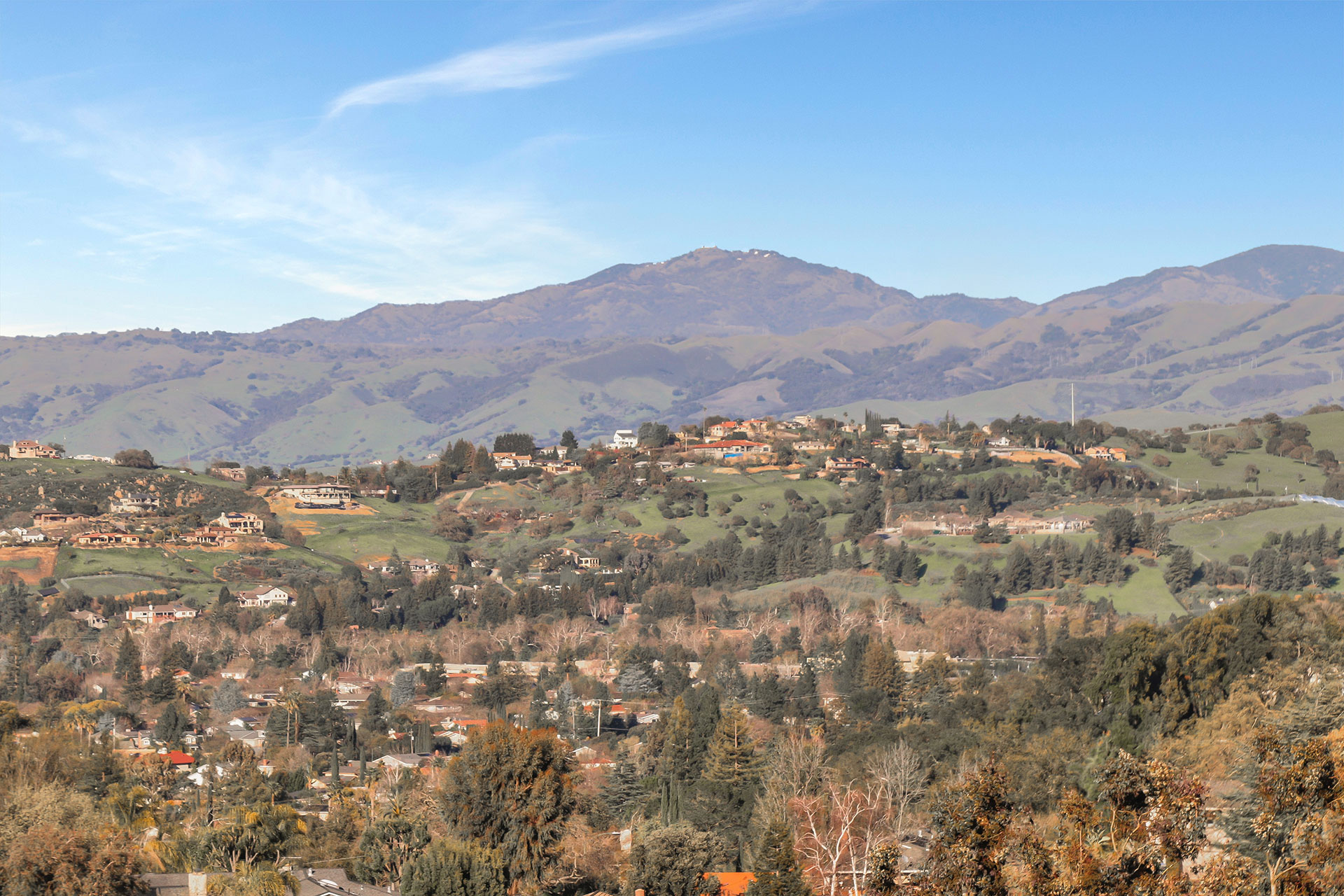 Almaden Neighborhood Guide