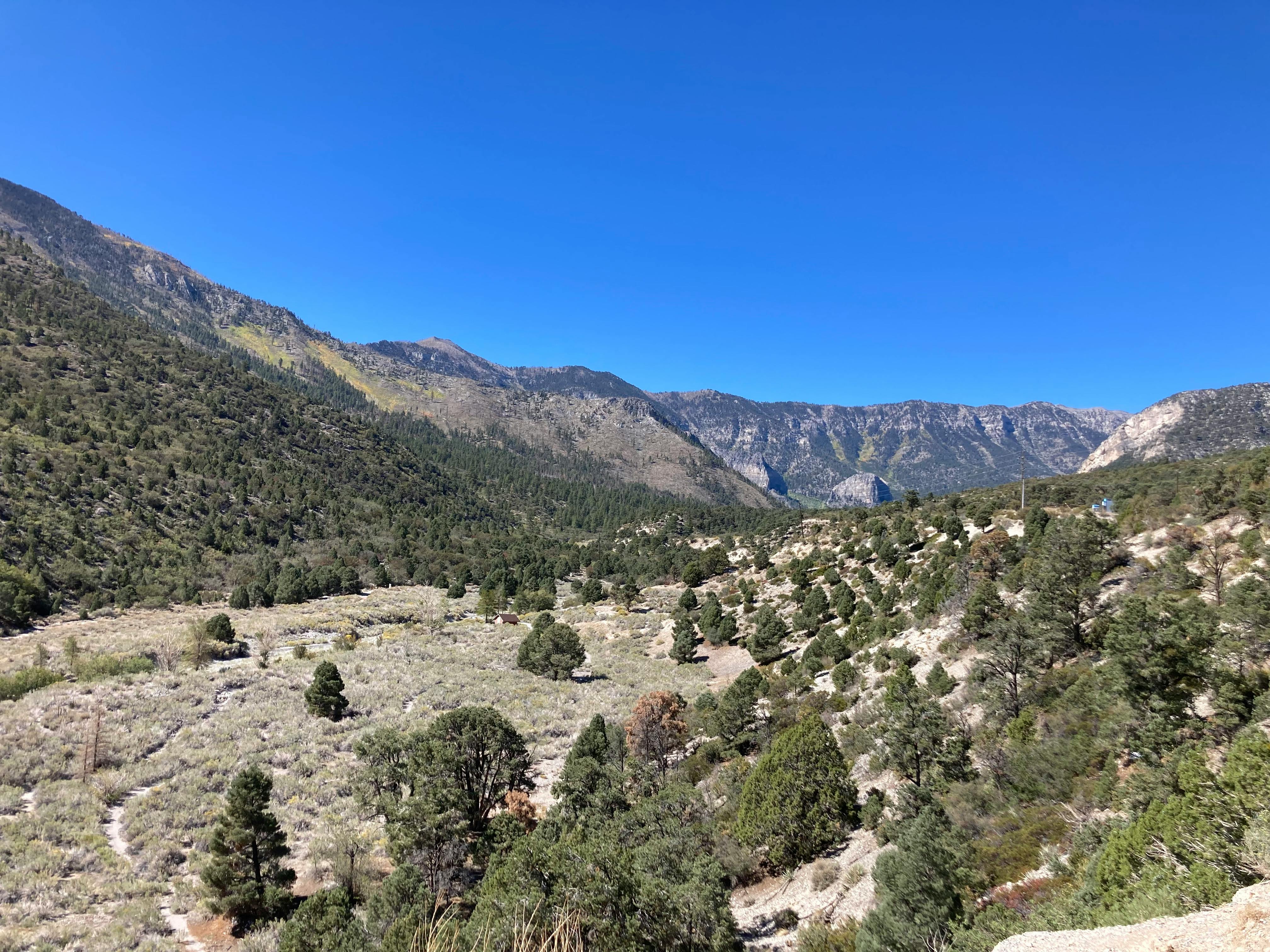 Mount Charleston Homes