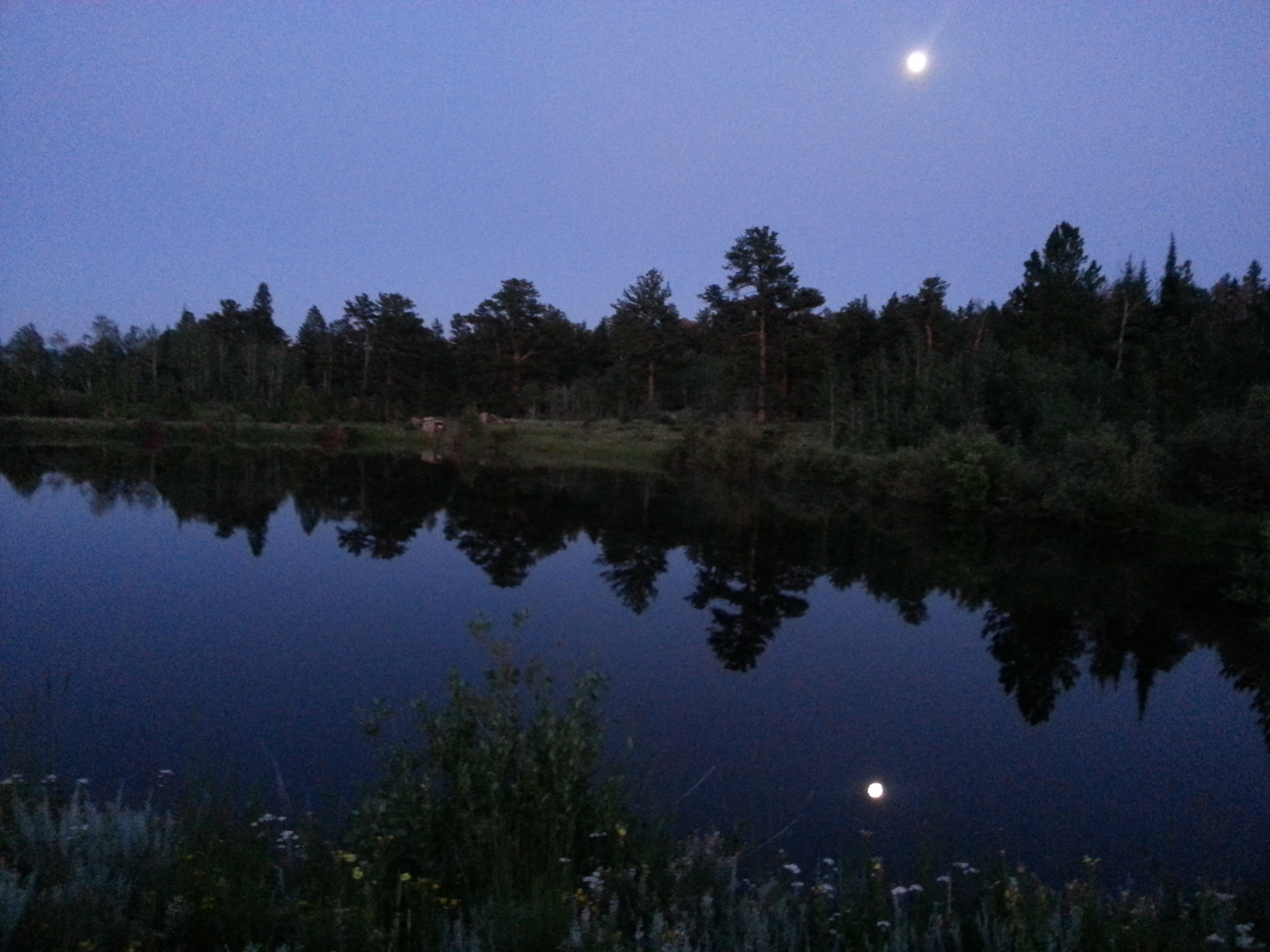 United Country Ponderosa Realty Assoc